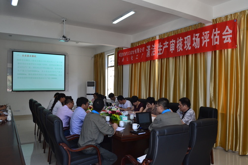 海峽科化龍巖分公司清潔生產(chǎn)審核順利通過現(xiàn)場(chǎng)評(píng)估,圖為清潔生產(chǎn)審核報(bào)告評(píng)估會(huì)現(xiàn)場(chǎng).鄧義楨攝.jpg