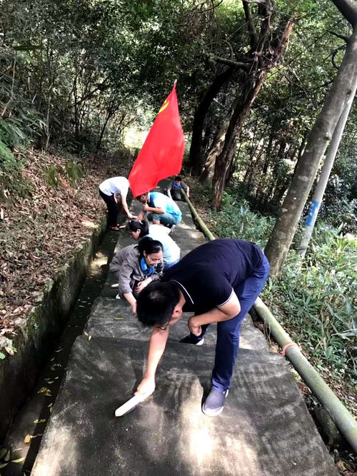陳宏金：不忘初心 牢記使命，永春分公司組織機(jī)關(guān)黨員清理上下班臺(tái)階的青苔1.jpg