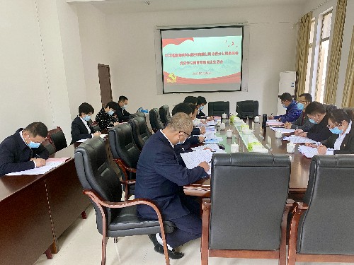 吳瑤：龍巖分公司黨委召開黨史學習教育專題民主生活會~1.jpg