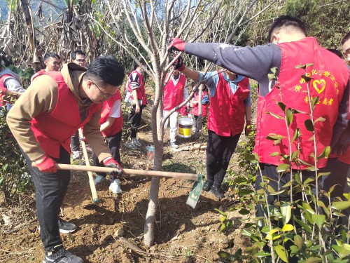 格式工廠龍巖分公�?黃曉�?植樹現(xiàn)場1.jpg
