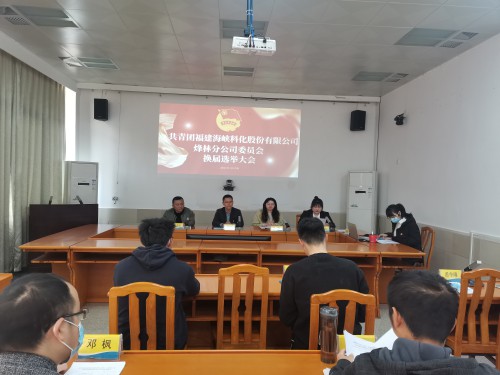 格式工廠烽林連珂瑩：海峽科化烽林分公司團委換屆選舉大會勝利召開（會議現場）.jpg