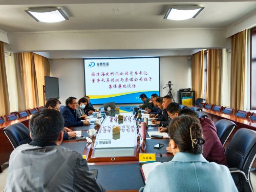 格式工廠2.吳彩洪對青海東諾公司領(lǐng)導班子進行集體廉政談話.jpg