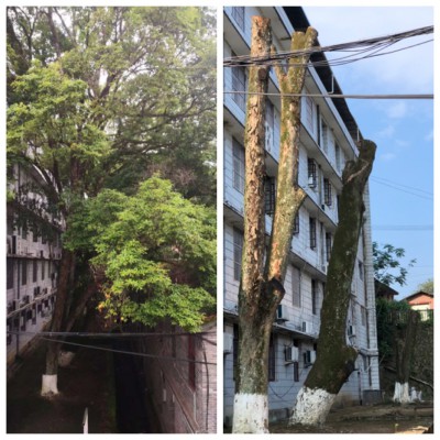 烽林崔愛新：海峽科化烽林分公司黨委多措并舉推進(jìn)“我為群眾辦實事”活動落地見�?.jpg